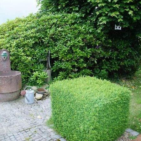 Jonnys Villa Hage Exteriör bild